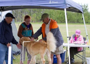 MAL #1: Roxy measures up! Photo courtesy Joan Morgan