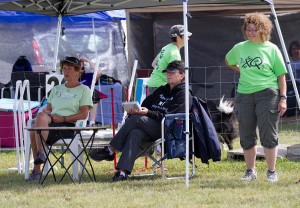 Handler's "busy" strategizing their runs! Photo by Joan Morgan