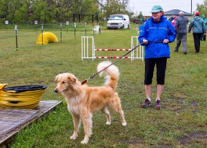 Roxy wants to know if it's her turn!  Photo by Joan Morgan