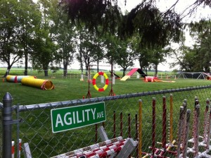 Feel for the Field Fun Match, July 19, 2015. Photo from Nicole Langdale