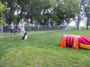 Feist puts his sit skills to good use!