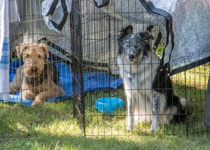 Holly & Oreo chillin'. Photo by Joan Morgan Photography.