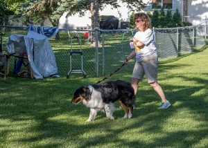 Arlie & Joey. Photo by Joan Morgan Photography.