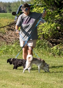 Poco and Qimmik have Judy going in both directions. Photo by Joan Morgan Photography.