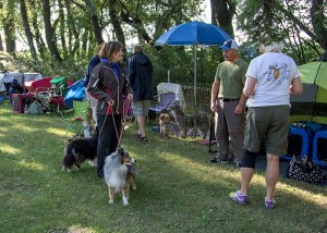 A beautiful morning for MAL #2 as 5 in the Hive discuss strategy. Photo by Joan Morgan Photography